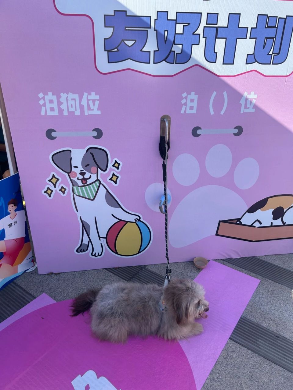 IfrSL, 现场的常州, 场馆外面一